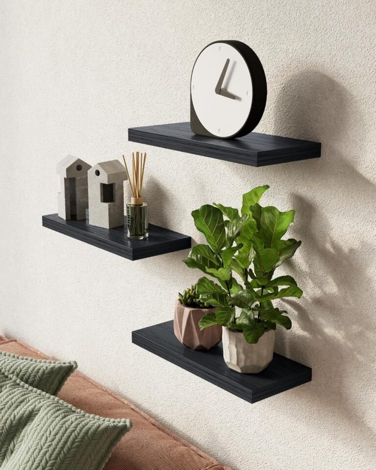 BAYKA Floating Shelves