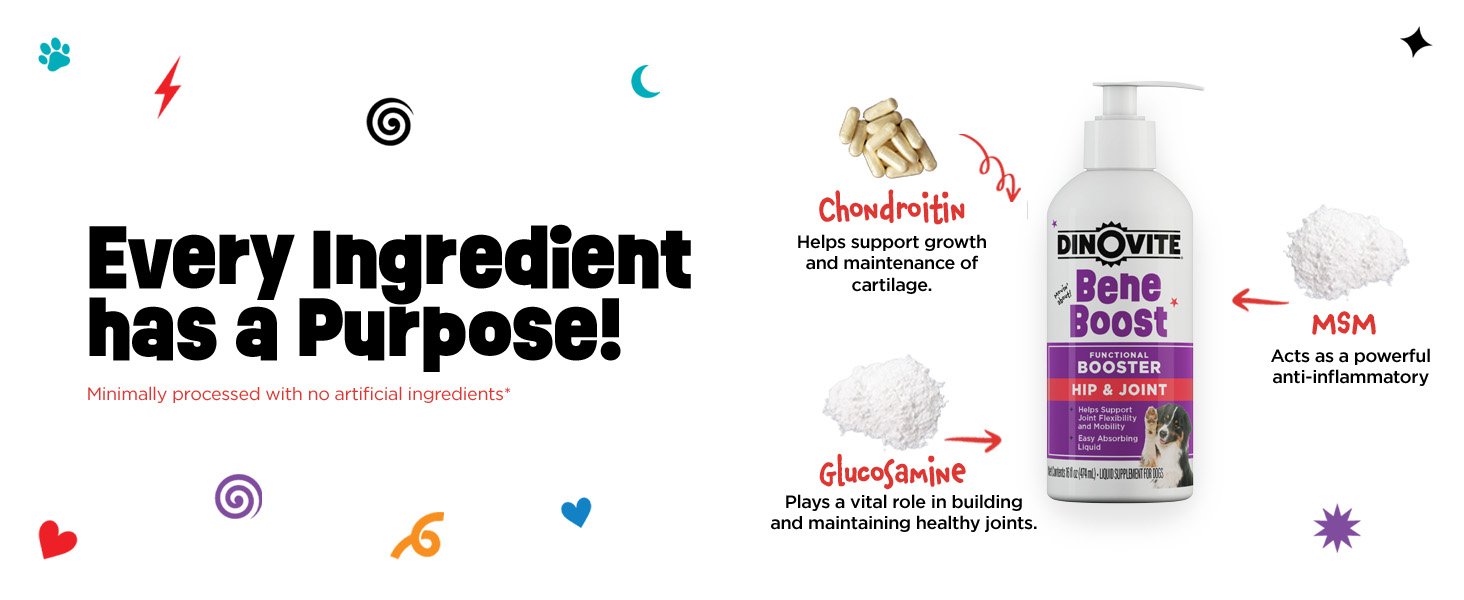 Dinovite BeneBoost Joint Liquid Topper for Dogs