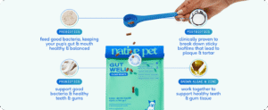 Native Pet Gut Health & Clean Breath for Dogs The Ultimate Solution for Digestive Wellness and Fresh Breath